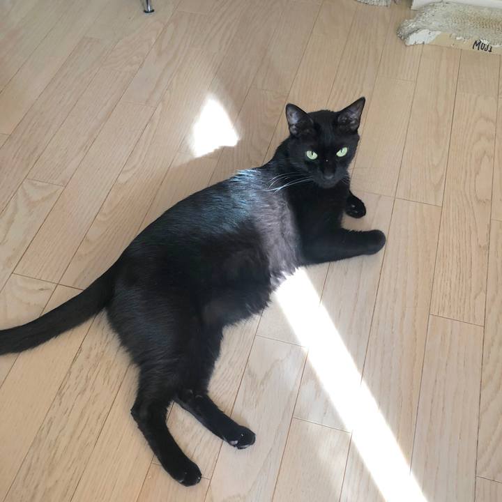 B630b31b 255d 4272 8512 c128e2b858a6 1565354962337