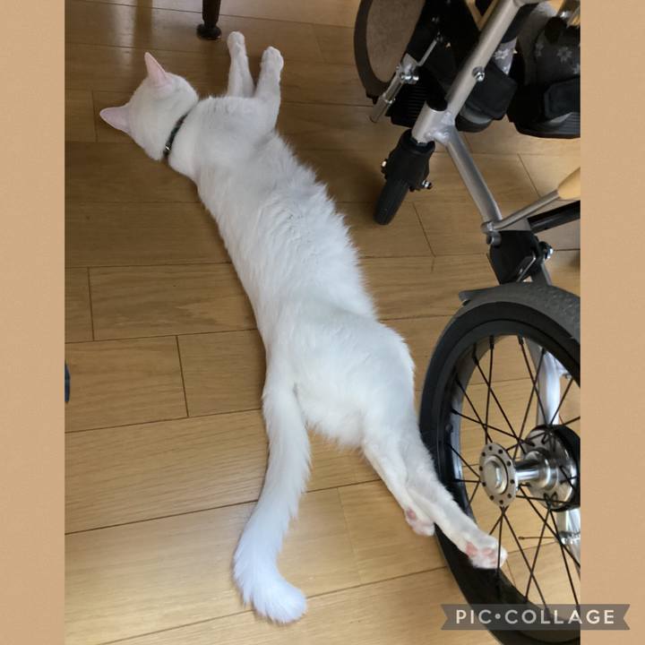 B630fd2c fa92 422f ae8d c9521f0f57c4 1669937911853