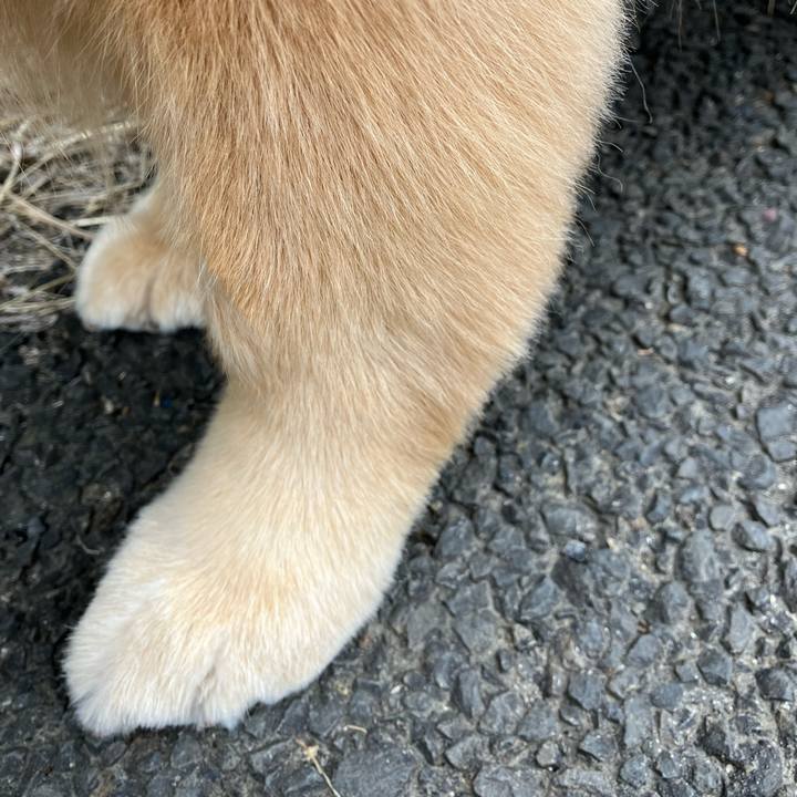 B6311783 14a3 4fee 949c 7b53f44921bd 1715656541077