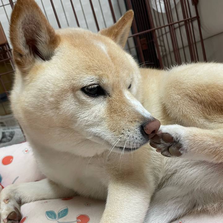 B63129f3 3c83 4177 a36b 00b4ea0cfcdf 1716163685523