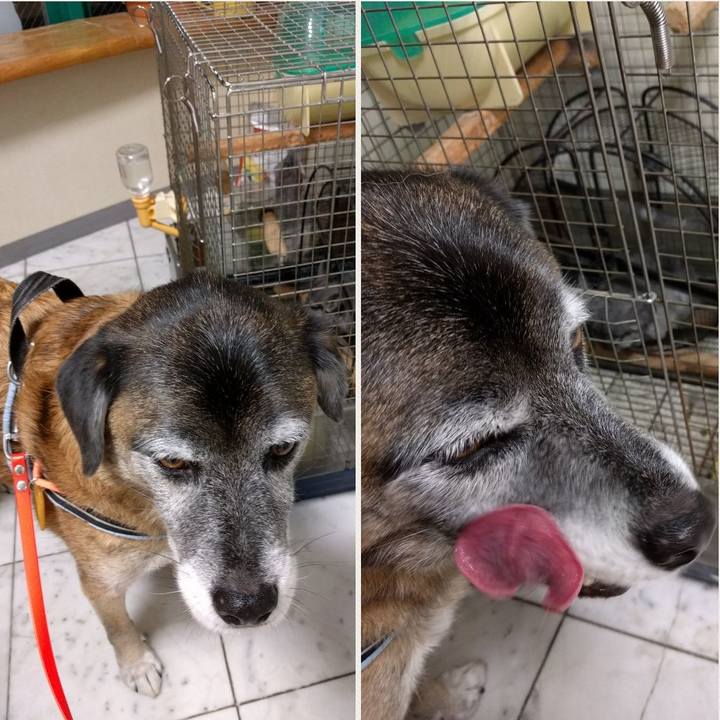 B6312c07 1c5b 4aa6 93c7 957e3d44cdad 1539770267227