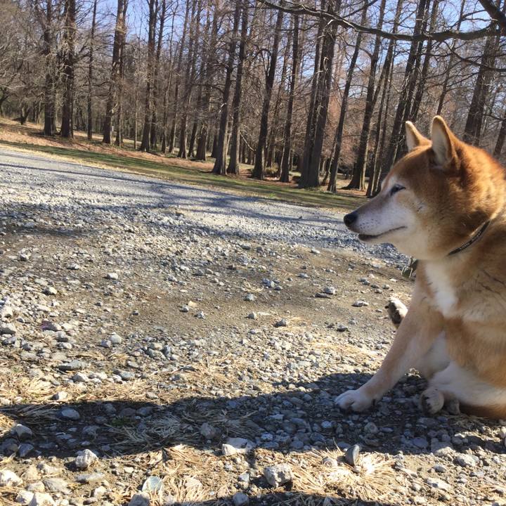 B6316752 bfc5 4b10 a2f4 21944d816d94 1613539035127