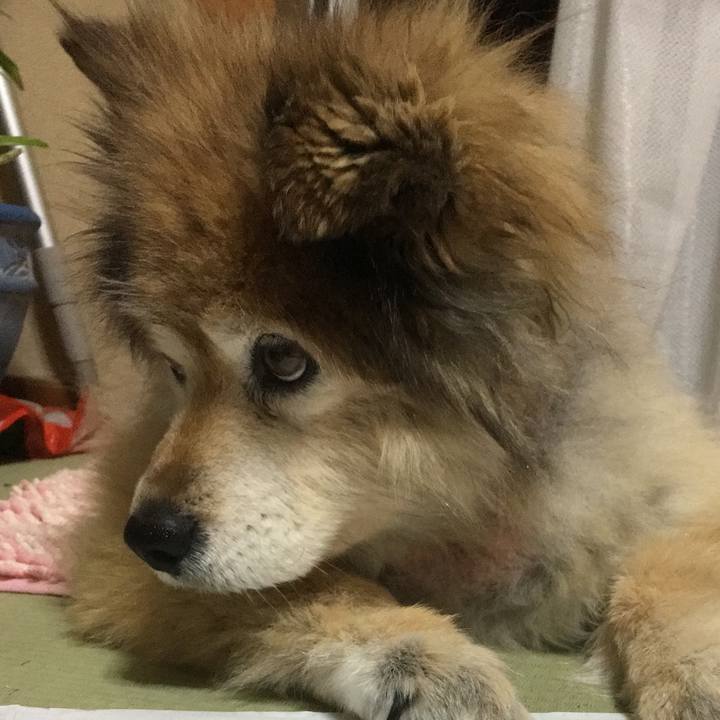 B631861e baee 49e1 9c25 44c924377536 1593740557320