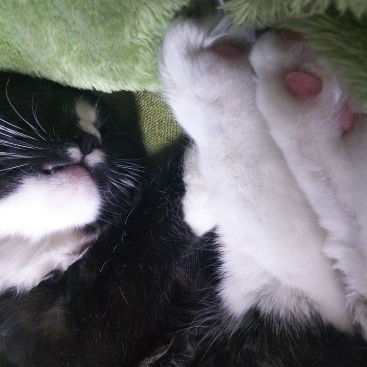 B631d74e 72d5 4f58 911e 3567f1ab6c46 1648535832503