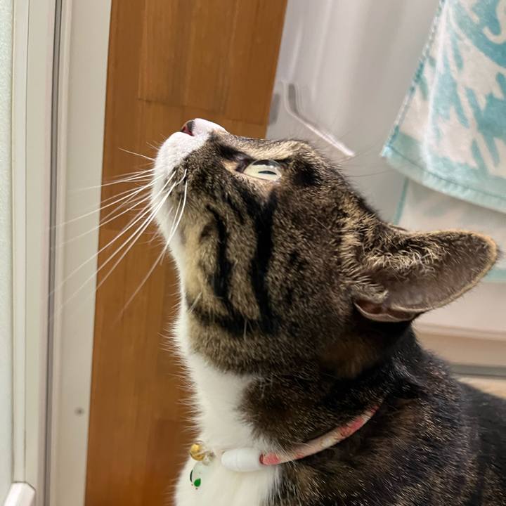 B63204d3 d37e 4d89 9ca8 171de889e037 1773876606284