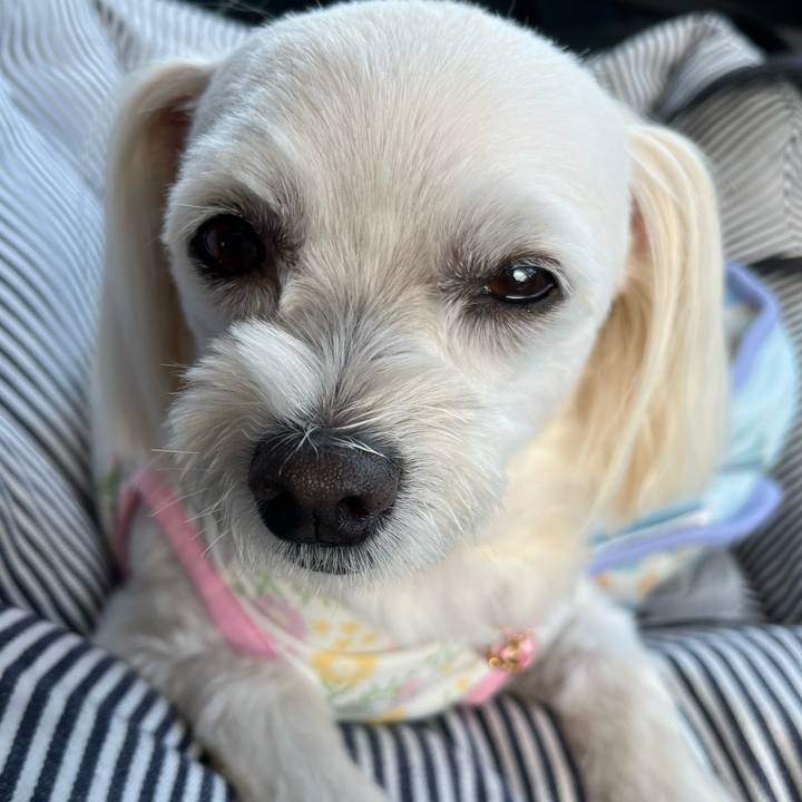 B63210af fe54 494c b23f ccf2609d9f06 1691495555839