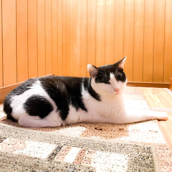 B63218f9 bbd9 4ceb a605 9fc92db0624f 1573697086761