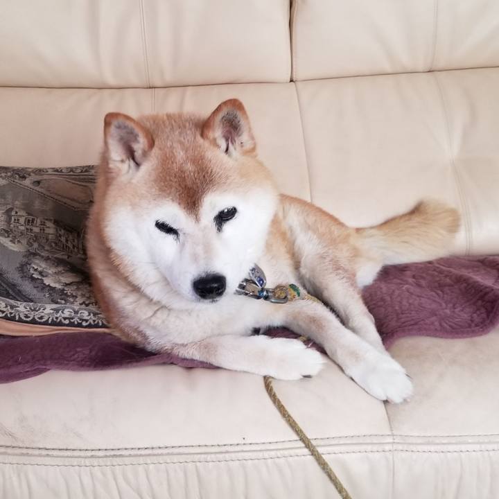 B6322c16 5087 4a2f 96f0 8608deb4177b 1719971180895