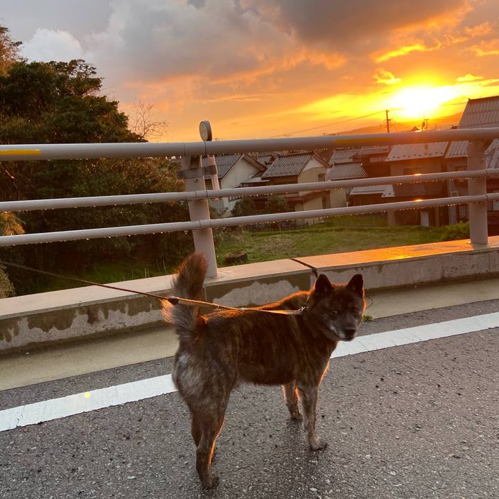 B6324a87 b98a 4d04 928e 6b05f2edeb75 1587723671001