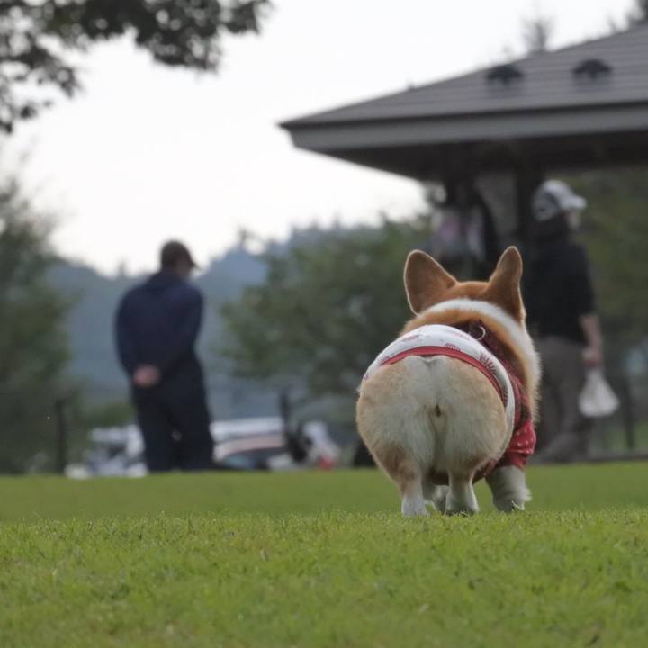 B6325e2a ae40 4315 8a4b c3f95b4a702b 1602507812941