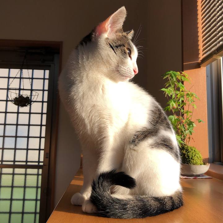 B6327cea 03dc 40e3 bca9 39ef62a6b93a 1620257466531