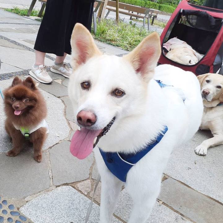 B632925f 66c2 422a b094 b67e0b2e7f71 1696131516861