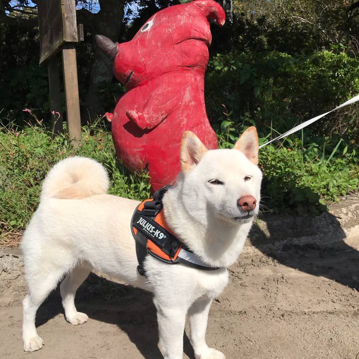 B6329e5b cd27 4a2f a064 34a2be4032a6 1570256228020