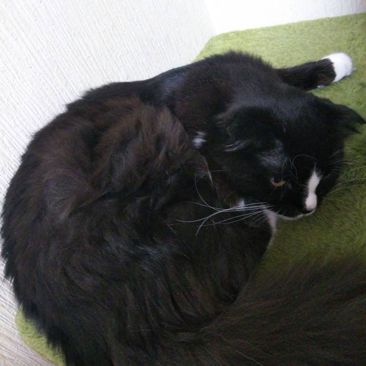 B632d2ef 4096 4799 924b c5275b9f0706 1647089816241