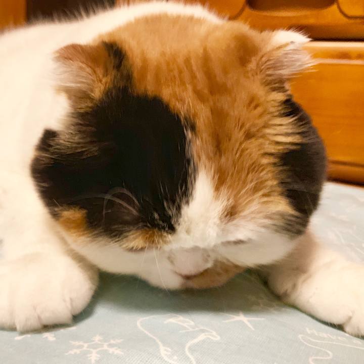 B632ea22 fe3e 48e0 af03 7241fda0aca9 1564233109472