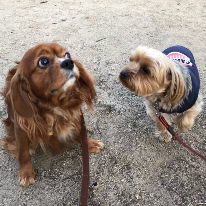 B632ebcf 9149 4416 9f56 9d78e16c7cf6 1613302461823