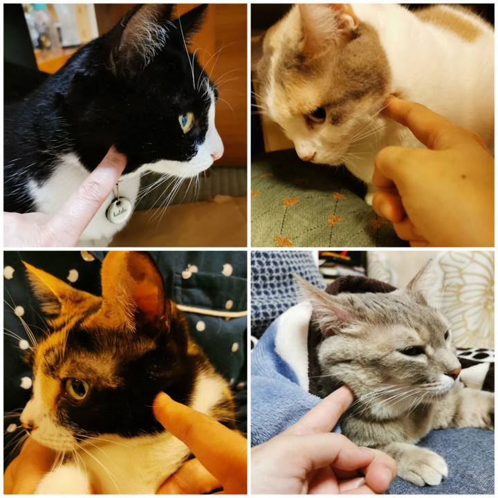 B633121c 6331 4c03 b33b 4be0ff892012 1672387335938