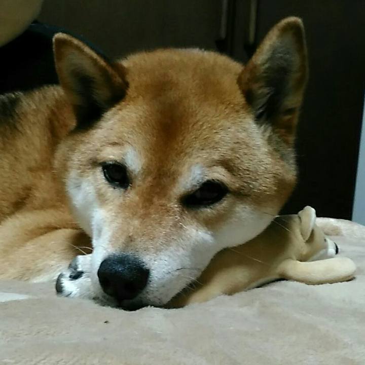 B63329ca e2e1 4a34 88a9 b5fc5699366f 1559744039526