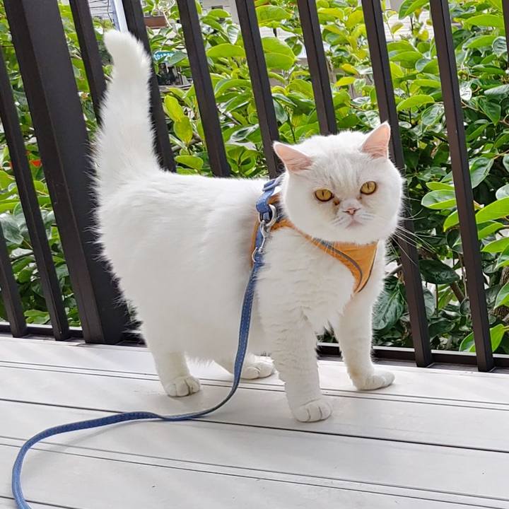 B633820e 68d3 4161 93c8 69c14c4bba77 1655452908682