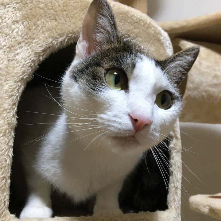 B6338f47 6081 44f5 8f8b 13d7784c74a6 1620479630815