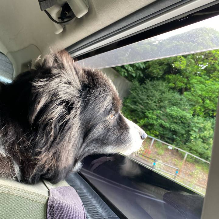 B633e498 b4ec 4e60 a7ed a576afa66071 1686520981419