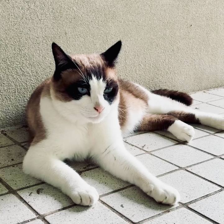 B633e788 8b86 488d 9210 8f6d12ce0e2e 1751508699299