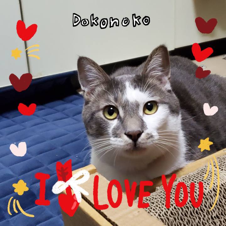 B633e8ca 0b94 45f7 8714 a95939e62adc 1706826307732