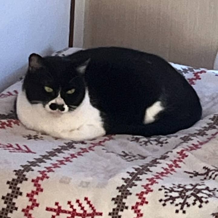 B6340625 5b7c 45dc ba3f e85bd296e6a5 1704539671397