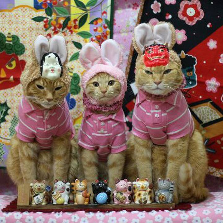 B6346936 1998 4f70 a8cf 4a33c9181a82 1549011037742