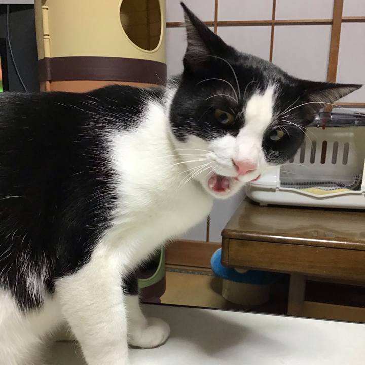 B6347a47 d53e 4ec5 b316 18460cbc05c9 1639993734154