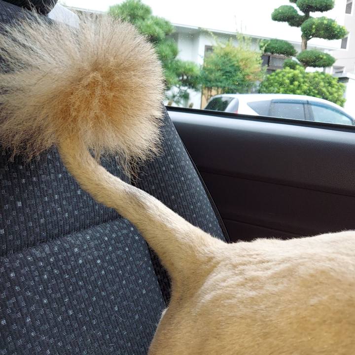 B6347caf 1ed2 4650 8287 c41e8fff50ca 1630558762383