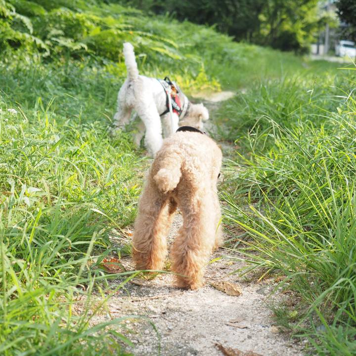 B634b084 9cea 413a 9870 95b7388b874b 1597243997116