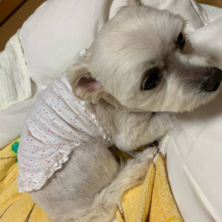 B634b110 54d2 4e45 812e dbfcb17ffd9a 1590578527889