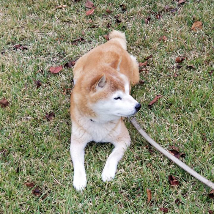 B634bac2 ab2e 49d0 8669 a3d0c4011dd0 1696747287669