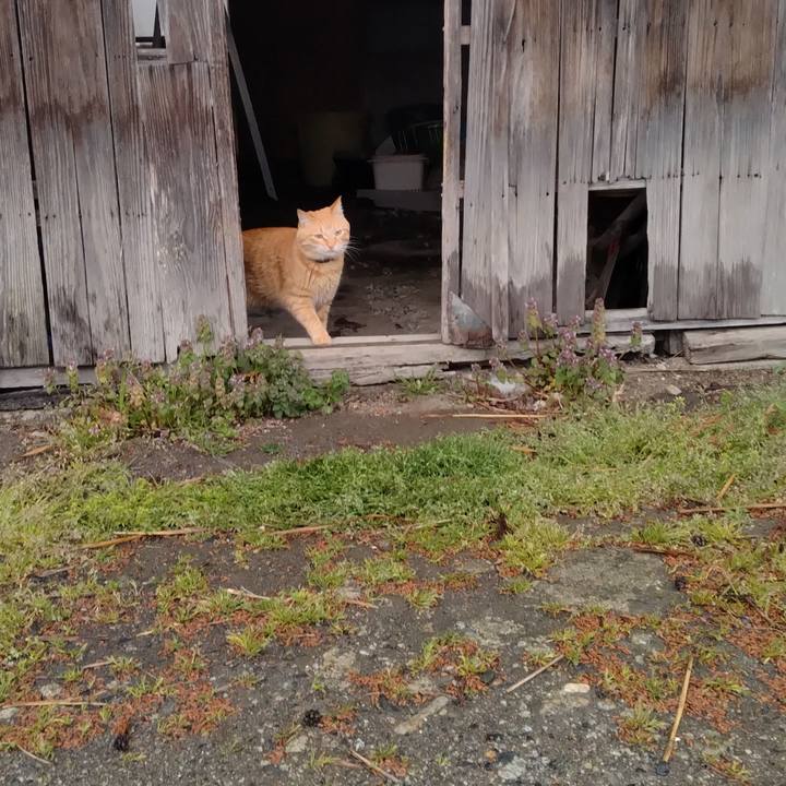 B634c79f edc0 4074 a9e5 e7dda0806f4c 1681593990152