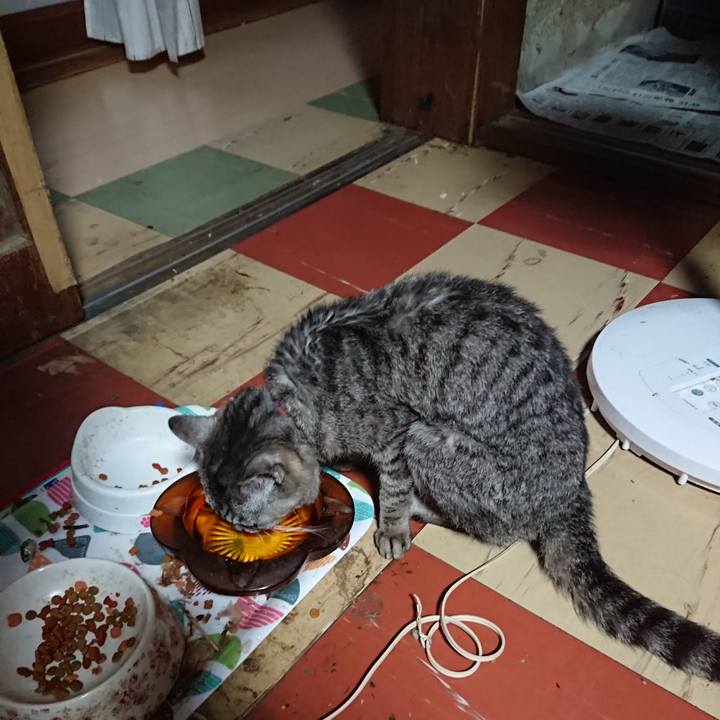 B634de48 7f92 4bc1 831a 11d10dc20e57 1591904151647