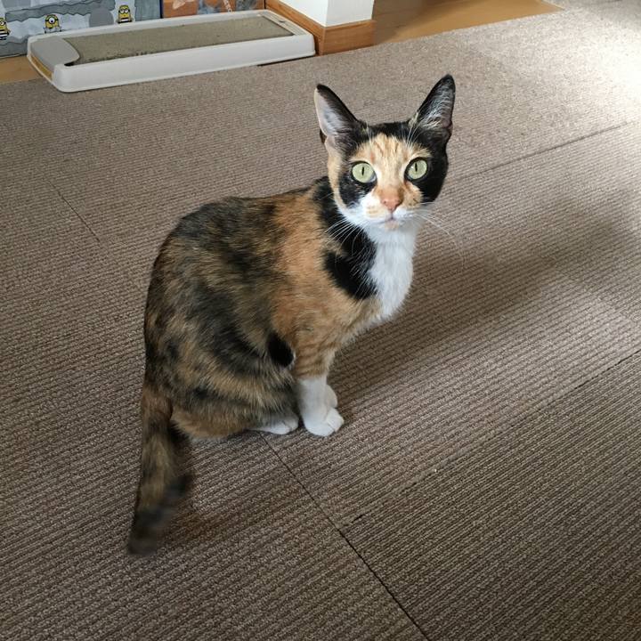 B63508fd 53ad 4337 a9a0 495437c6d81b 1520404662881