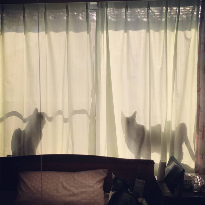 B6352a24 d295 4054 bfcc 082c97388f87 1620616304953