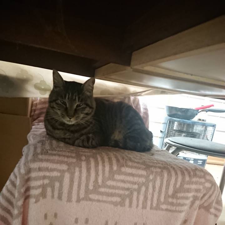 B635643b d34a 4e07 a96b 50ec06b34276 1654548858905