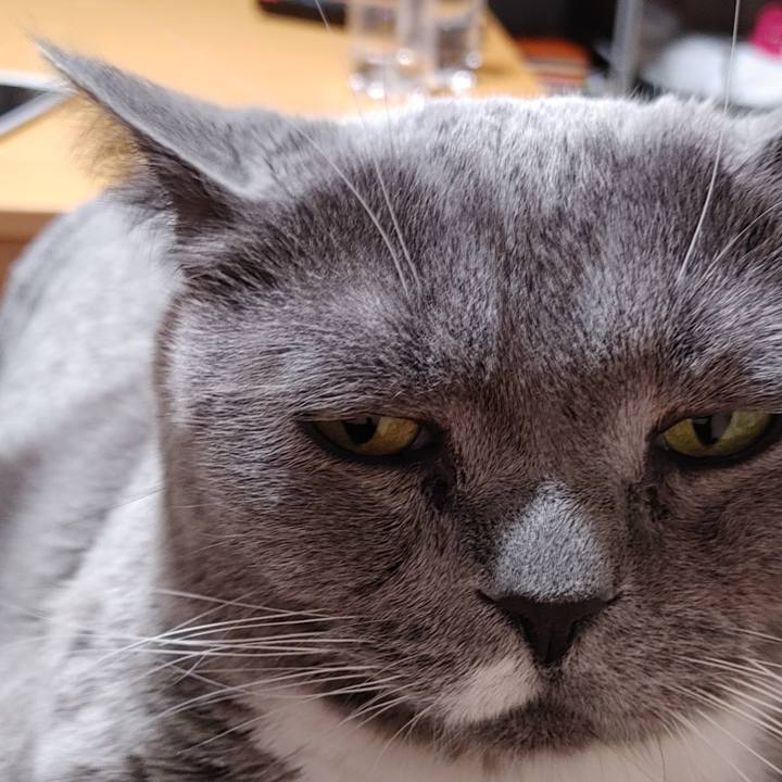 B63590f1 5575 4875 ab87 f7113fede1f4 1770803336038