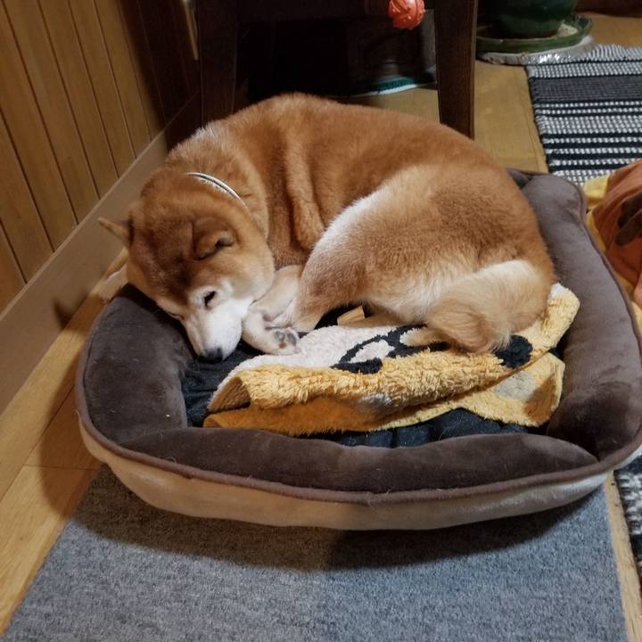 B635a278 2252 40bd 9db6 487b7cde2e66 1635424128750