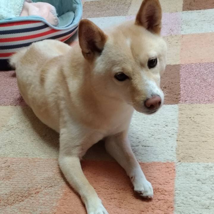 B635c485 56fe 40a5 a2ac 6b50c7ad4803 1577492275410