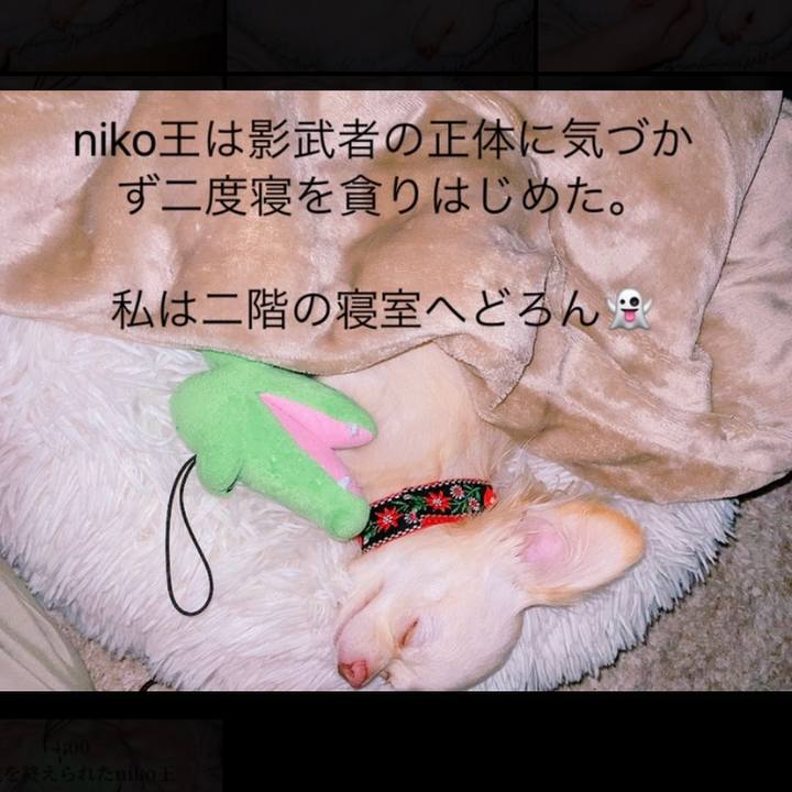 B635d779 0422 4bad bd11 ea0565394594 1627068559362