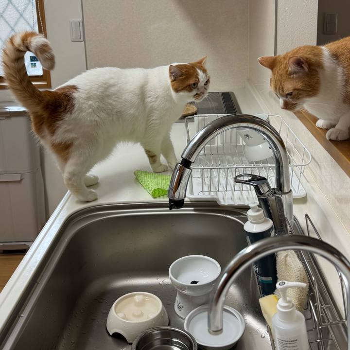 B635e620 dcbd 4a92 98d2 ce8c7a813861 1763432459480