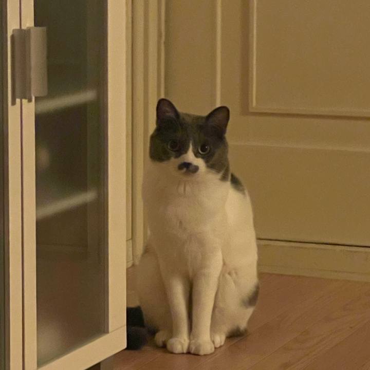 B635e803 90d9 4f1b 9158 5eae33306644 1626268400193