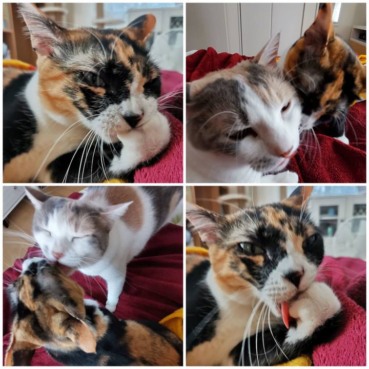 B6361420 5805 4595 8392 804cb0527f7b 1665371273968