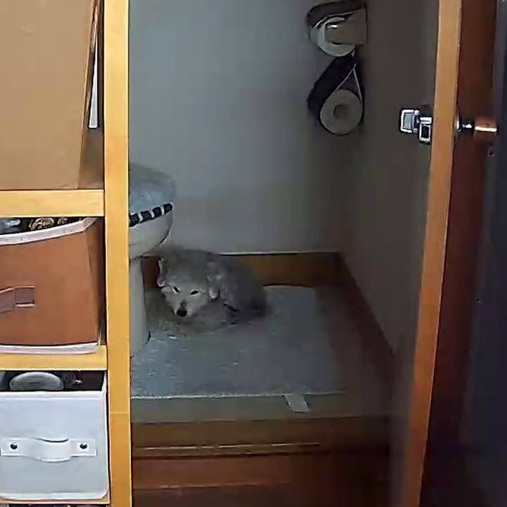 B6362c94 cbdc 43b5 8d65 95ec544bdb8c 1612760568578