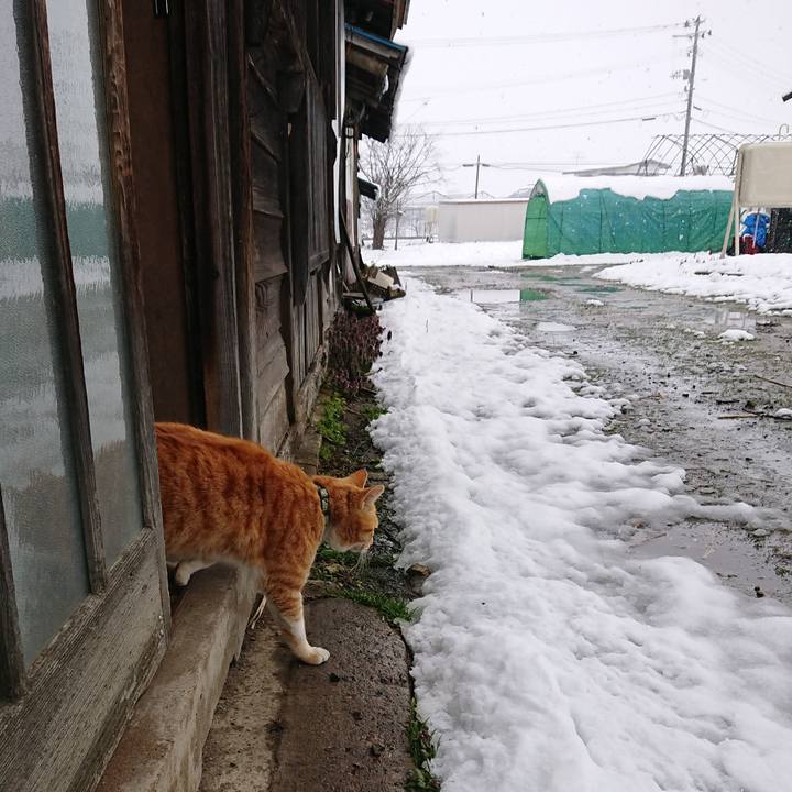 B6365563 1371 4089 a669 899648f1b6dc 1585454000470