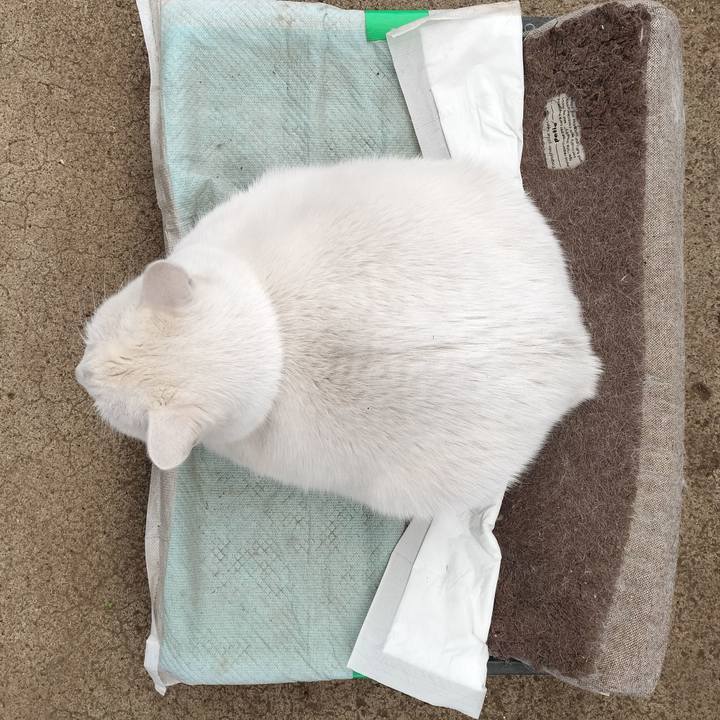 B63664cb 2977 4734 98f8 0ac263ecfc27 1769053535056