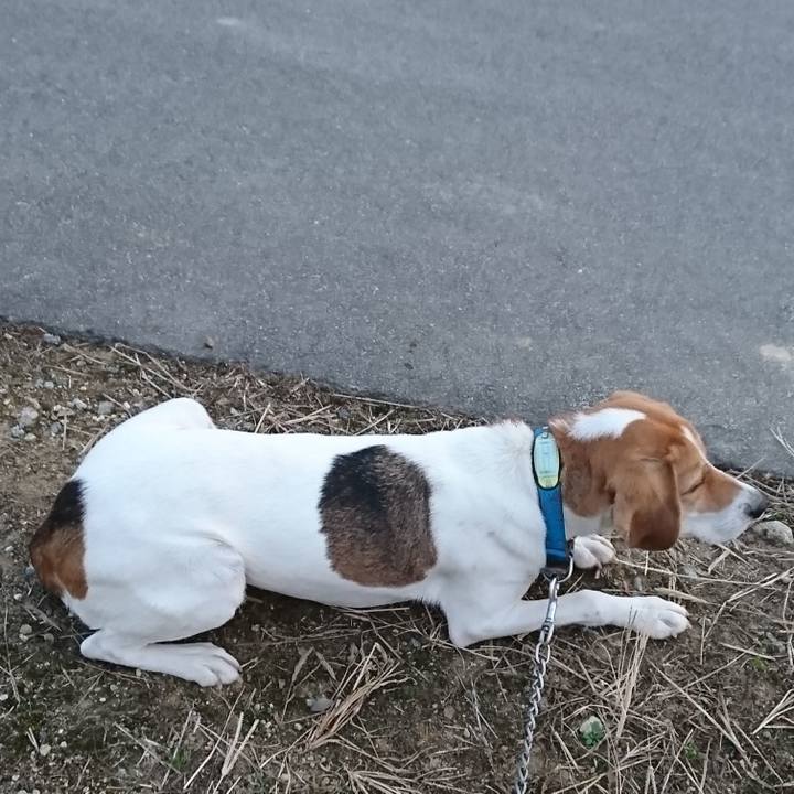 B6367d37 b509 471b 9221 3d4a602a9bad 1574927635460